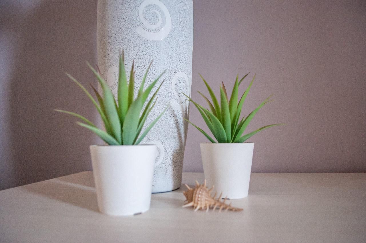 D1-1-4-Water Side -1 BR — photo 9