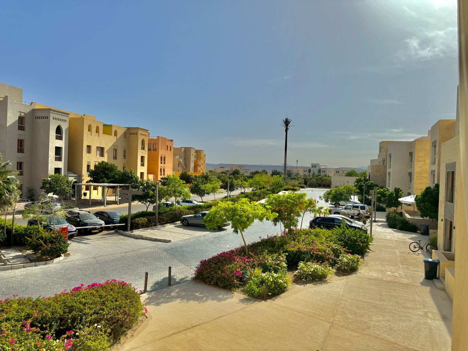 M7-4B - Mangroovy - 1 BR — photo 9