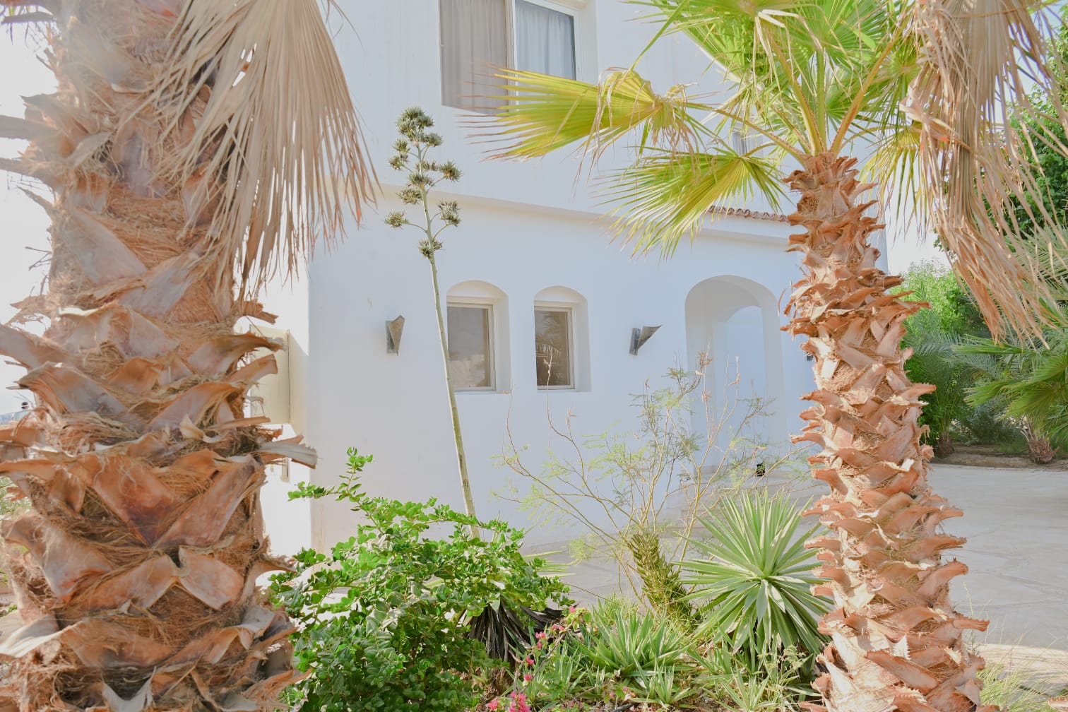 PHASE 5 VILLA 38 - White Villa - 6 BR — photo 38