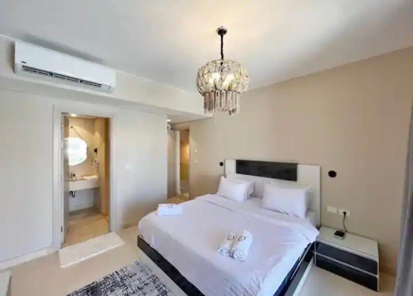 M8-2-t-2-Mangroovy-4 BR — photo 26
