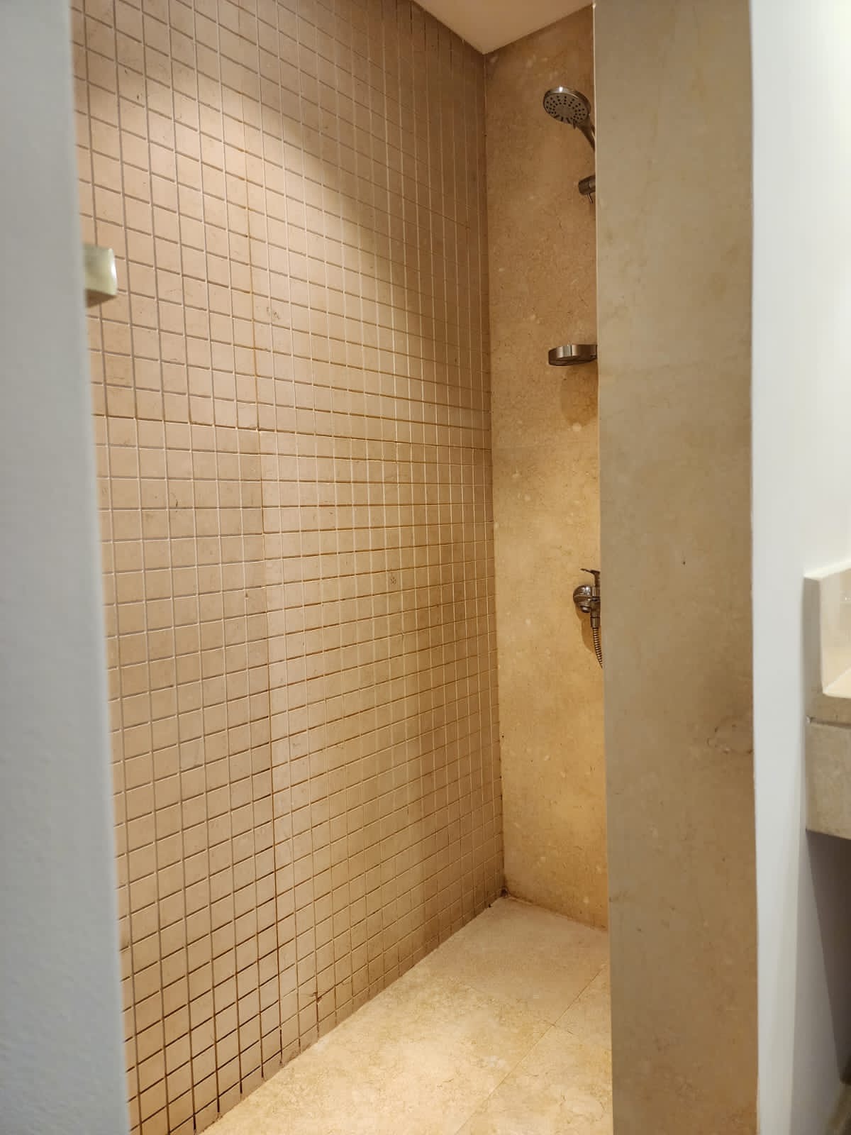 M9-3C-11-Mangroovy-1 BR — photo 3