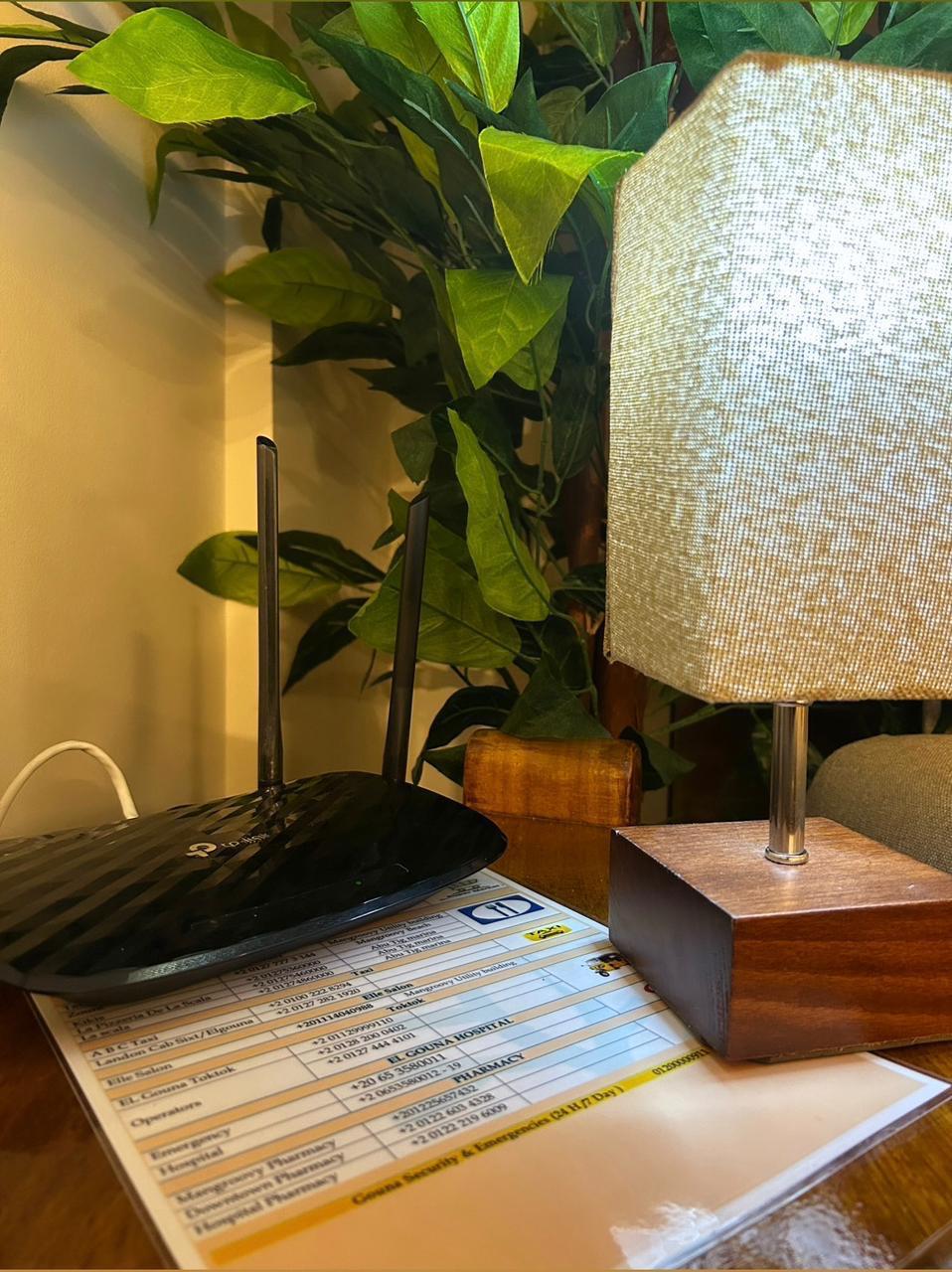 M1-4c-21-Mangroovy-1 BR — photo 5